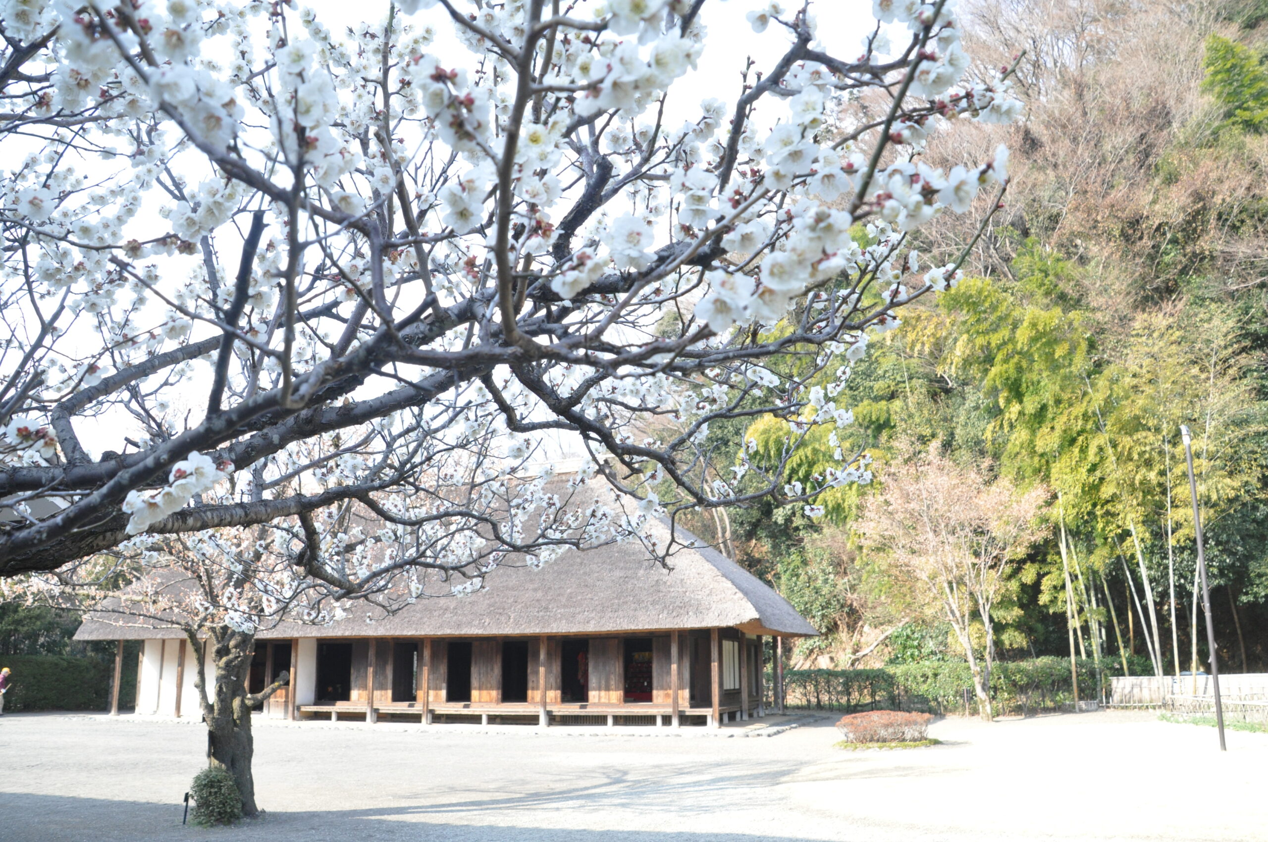 相模川自然の村公園