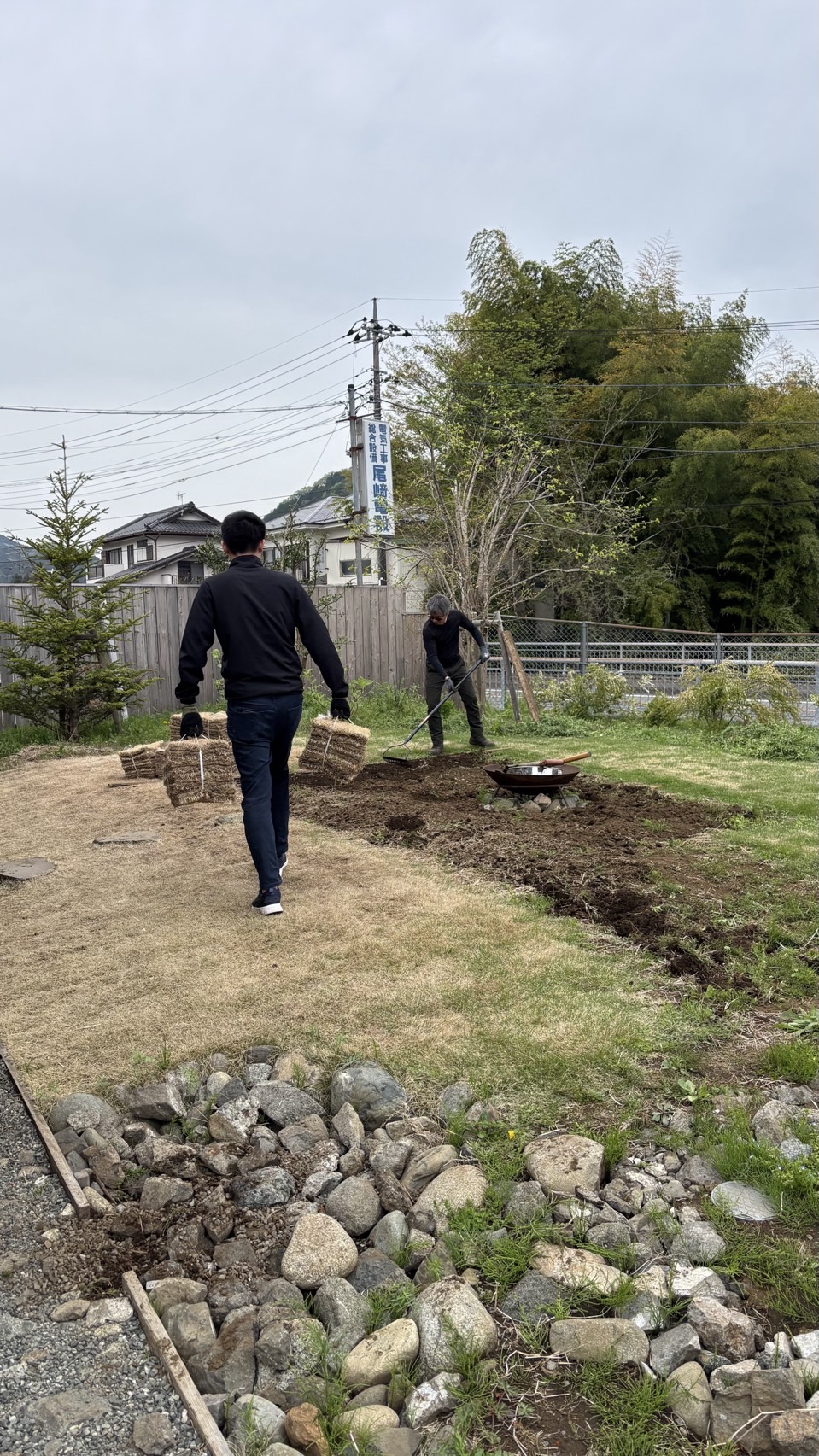 芝の植え付け