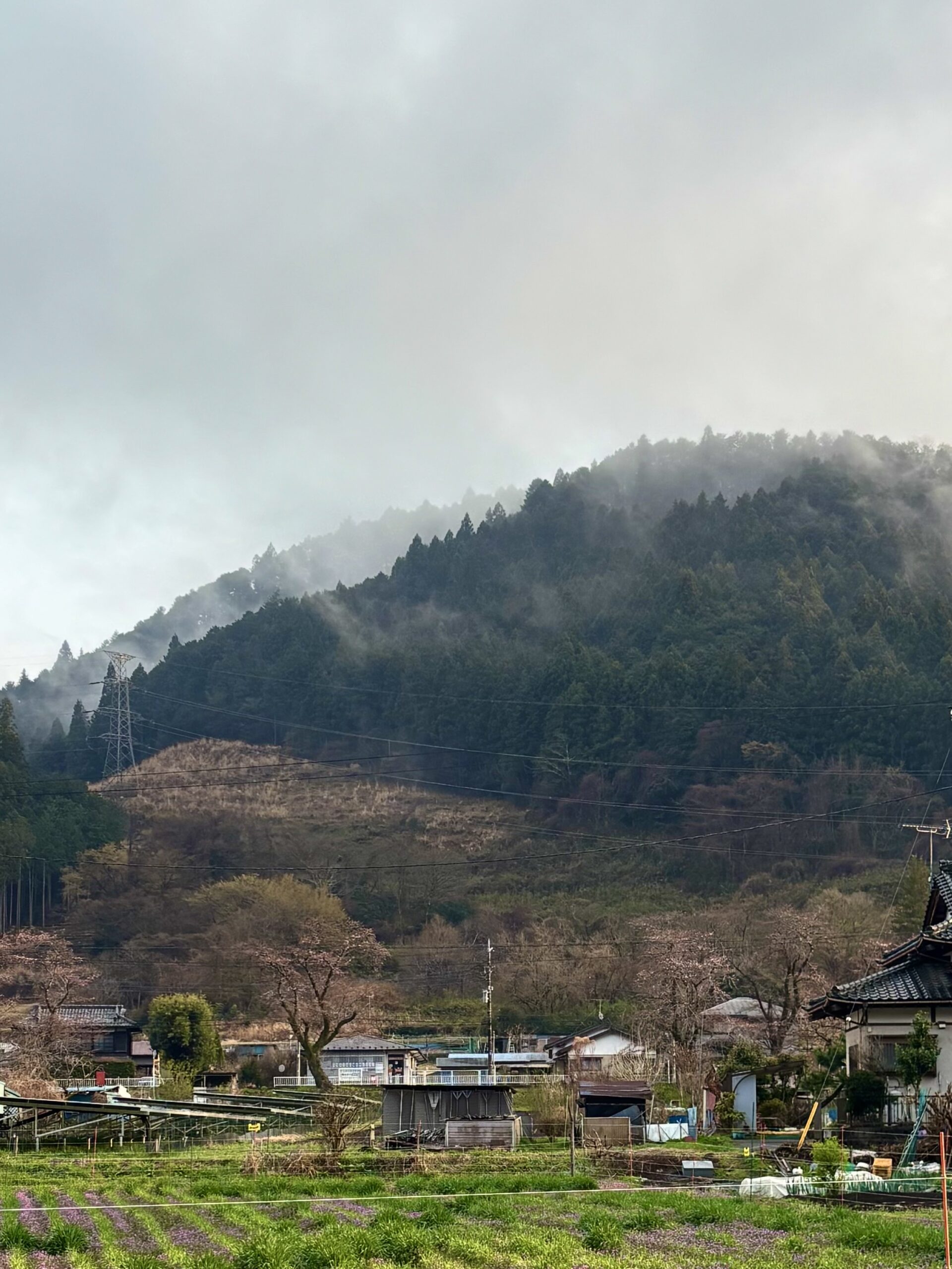 雨上がりの山と立ちのぼる霧　青野原の風景
