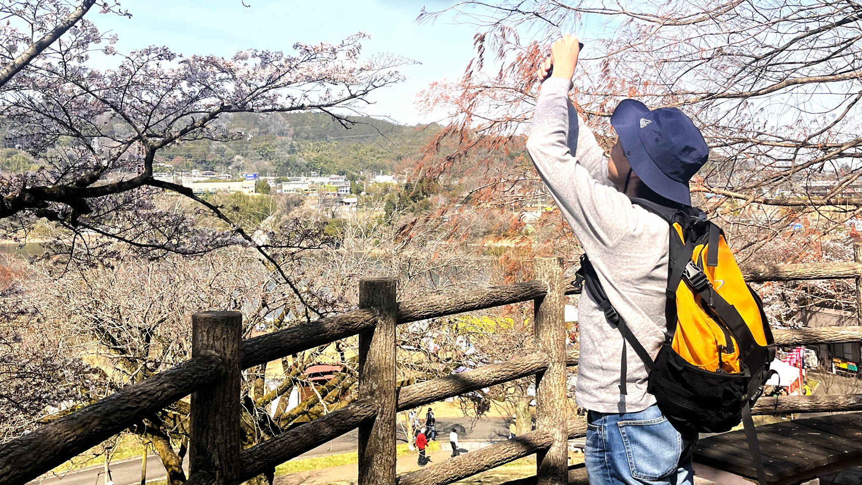 津久井湖の桜と、刻一刻と変わる春の表情