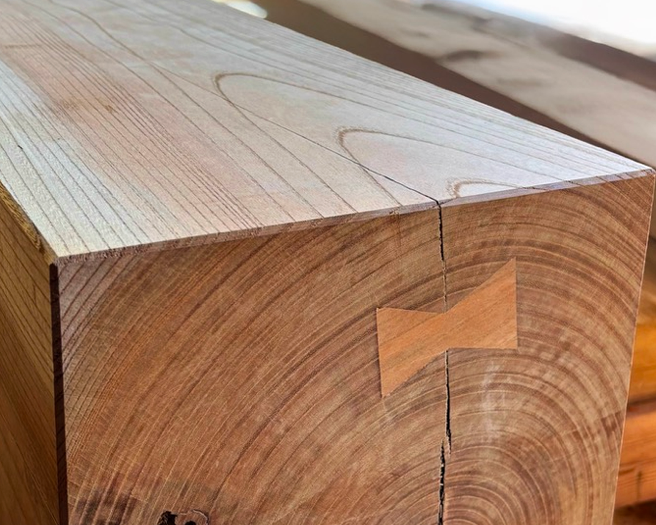 欅（ケヤキ）の記憶を、マンションの顔に