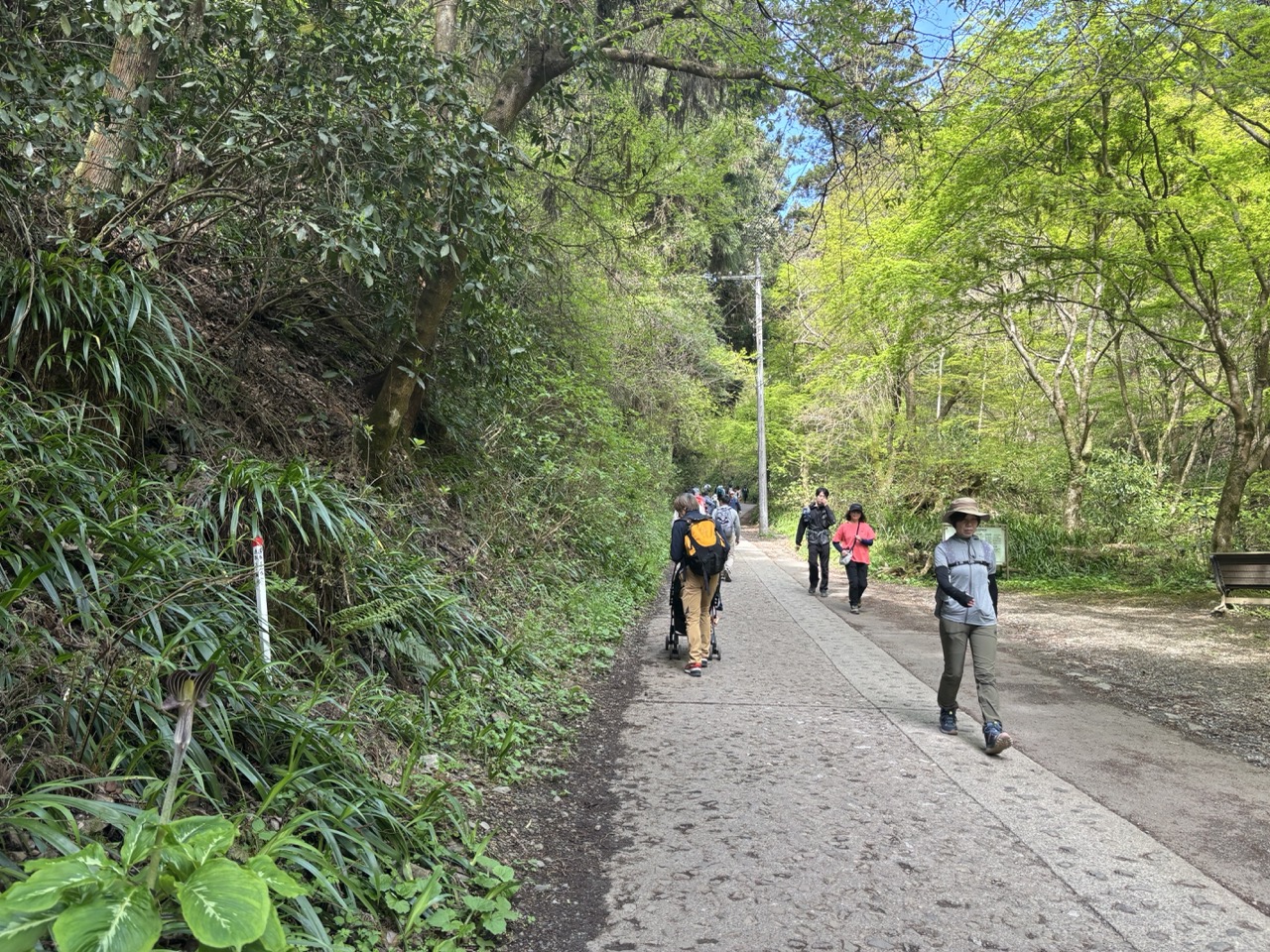高尾山登山　ベビーカー
