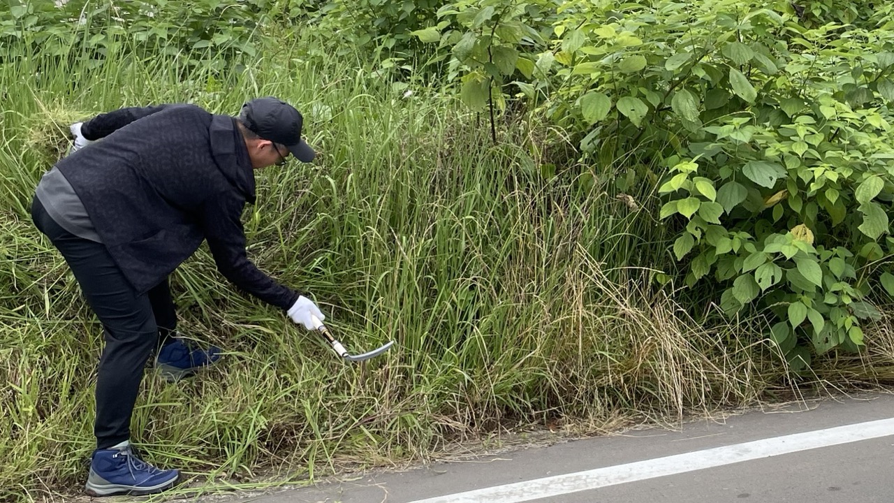 草刈り鎌で人力草刈りする男性