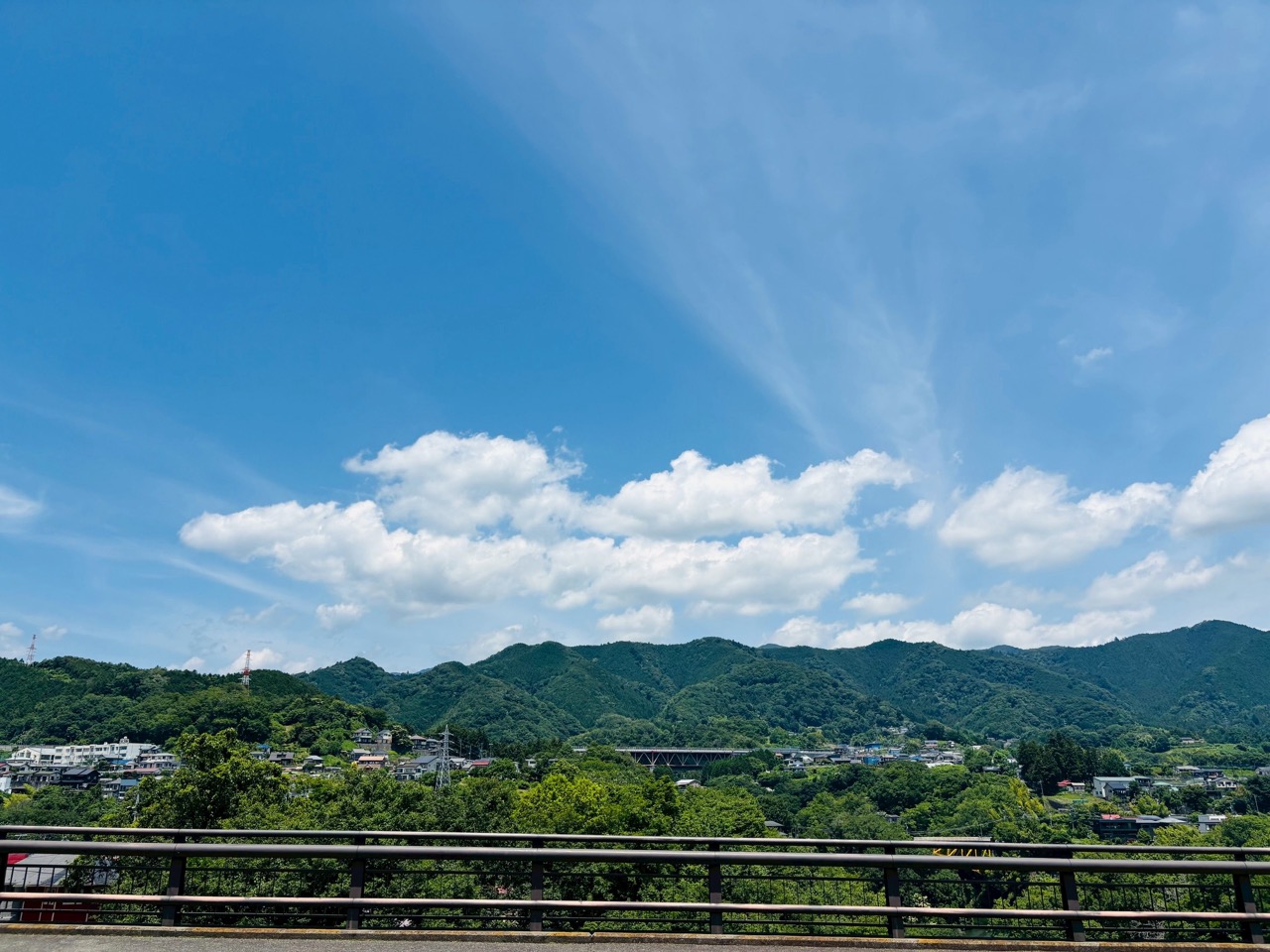 相模原市緑区　藤野の山の緑