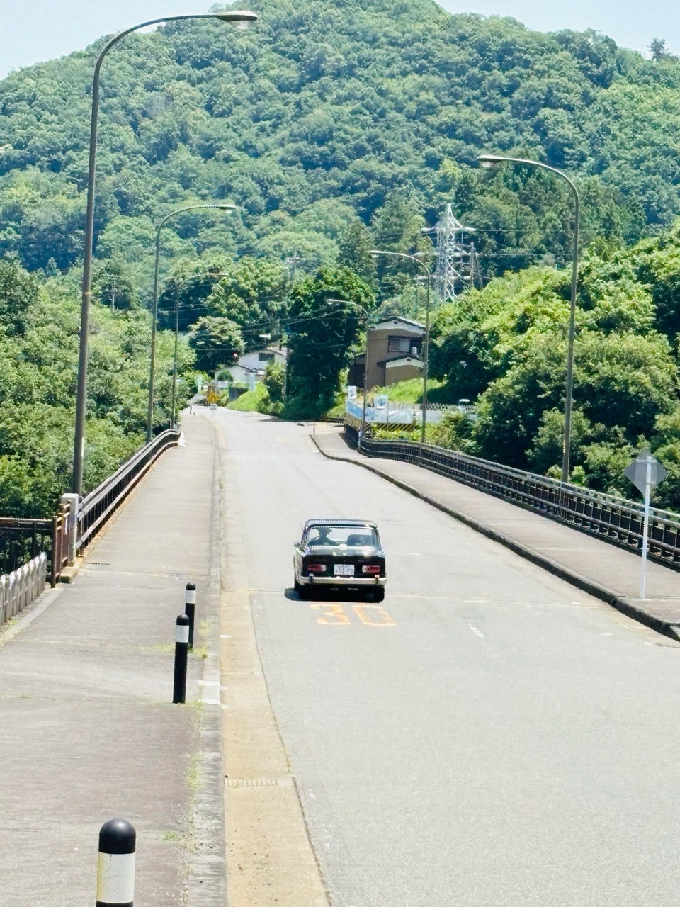 6月の、藤野の山の景色