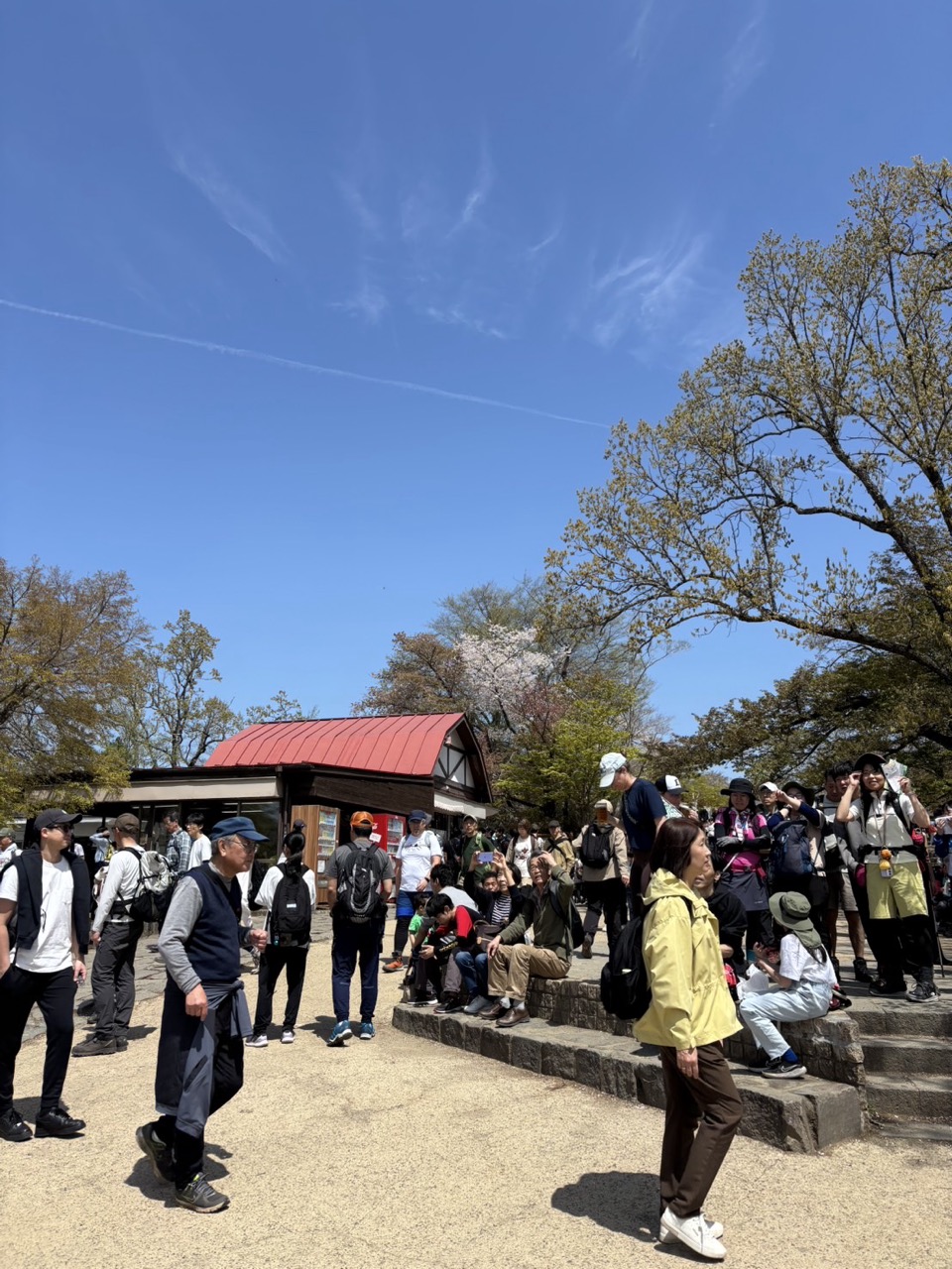 高尾山で家族と過ごす休日。新緑の山歩きとこれからの暮らし