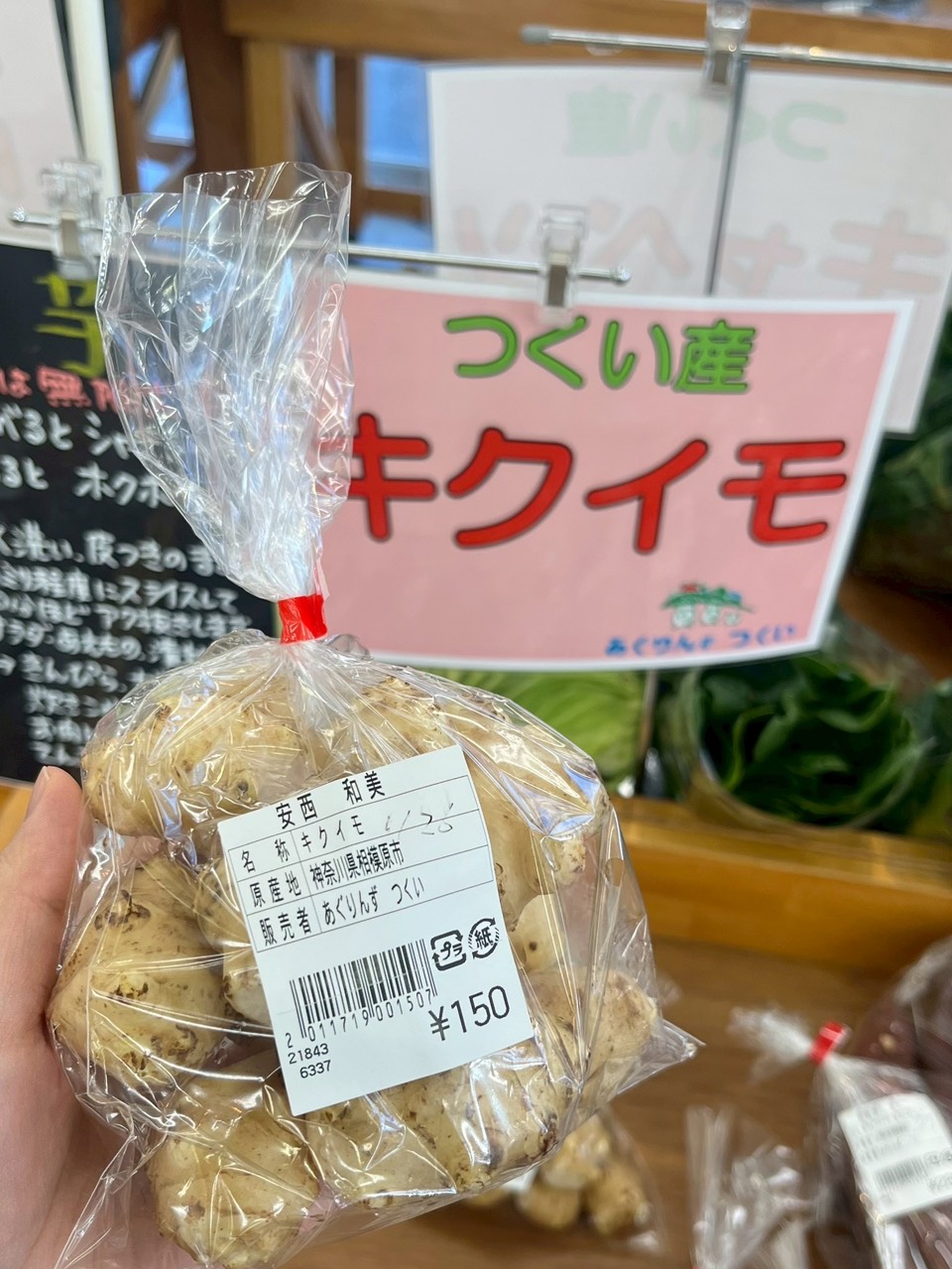 天然のインシュリン、イヌリンの宝庫の菊芋。その花の形。