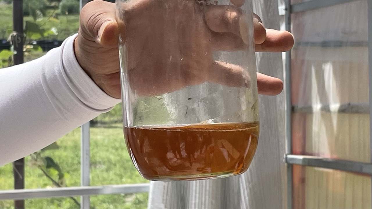 さがみこベリーガーデンで採れたはちみつ