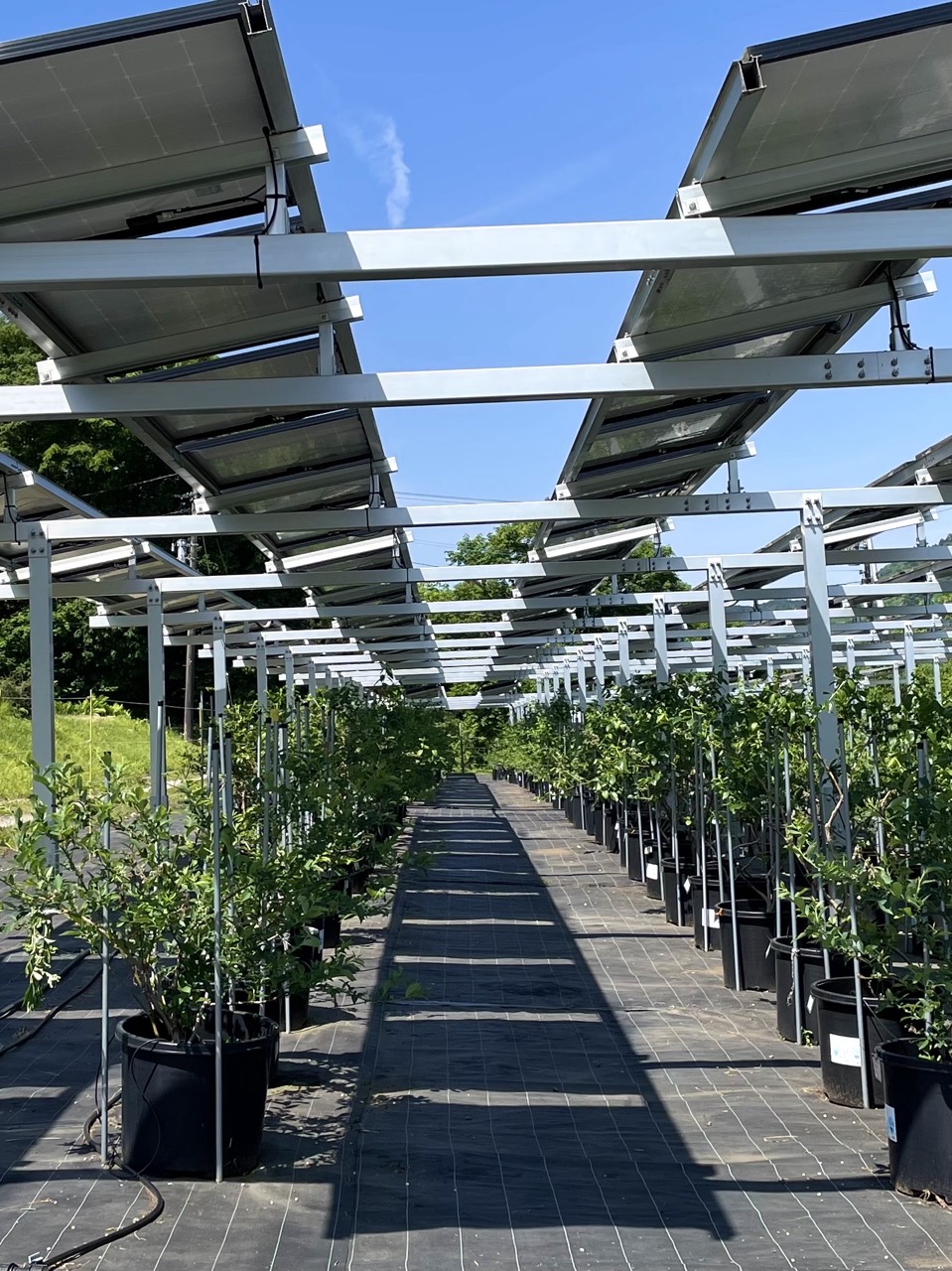 自分も車も、青野原でチャージする週末