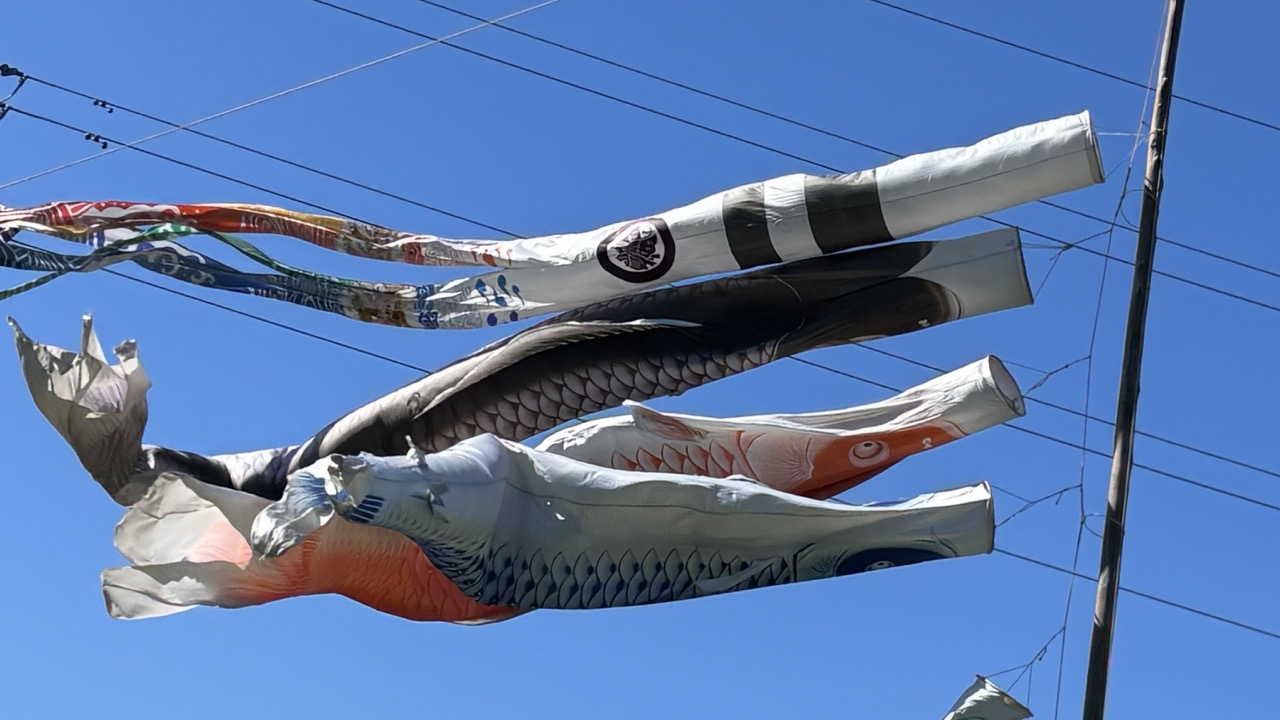 空を泳ぐ鯉のぼり・津久井湖新緑こどもまつり