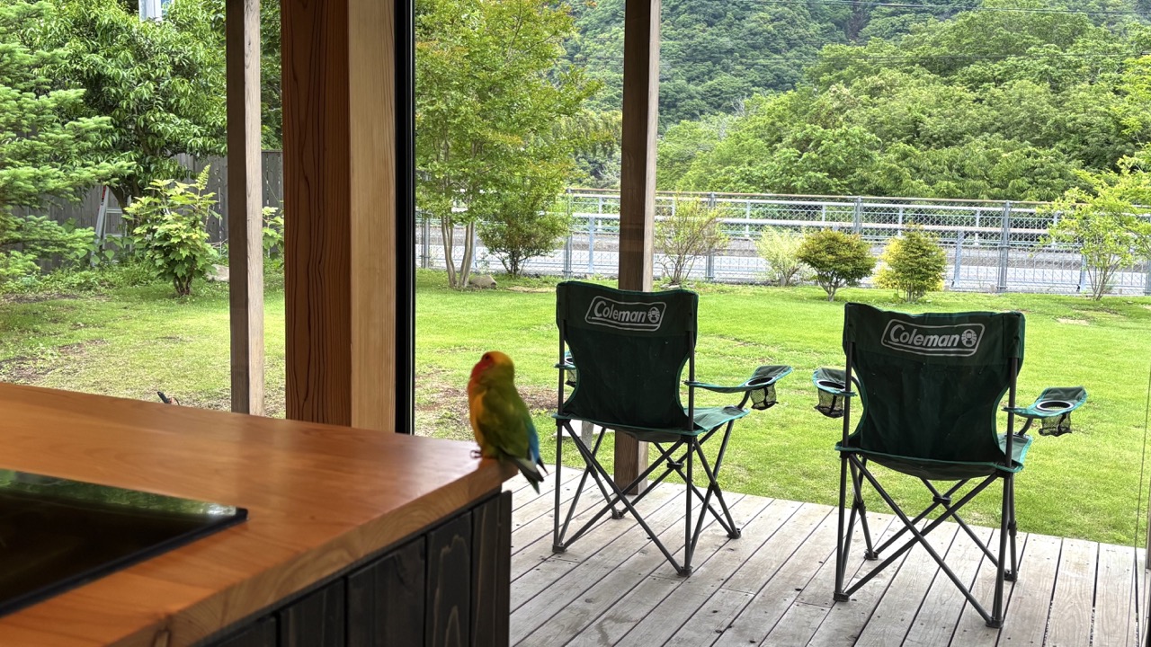 MOKKEJAの部屋から見る庭